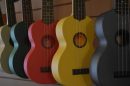 ukulele