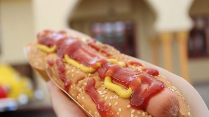 legjobb hot dog készítők